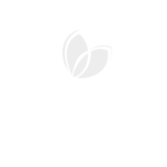 Prima Essência