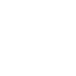 Volpi